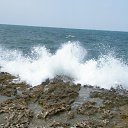  Serzh Van Der Maaremaan,  -  5  2009   