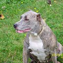 ���� ����, �����, 41 ��� - ��������� 27 ������ 2011 � ������ ���� ����������