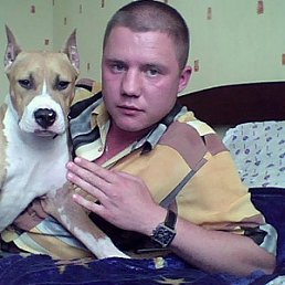 ���� ���������, ������, 43 ���� - ��������� 28 ������� 2012