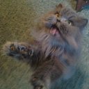 ���� ������, �����-���������, 63 ���� - ��������� 20 ������� 2011 � ������ ���� ����������