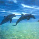 ���� Arstan, ������, 53 ���� - ��������� 23 ������ 2013