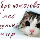���� ������� (������ 8-�� ������), �������, 28 ��� - ��������� 2 ����� 2012 � ������ ��������, �������� � ��.�