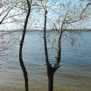 ���� �������, ��������, 39 ��� - ��������� 7 ���� 2012 � ������ ���� ����������