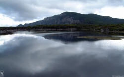 ���� Imun, �������, 47 ��� - ��������� 27 ���� 2012