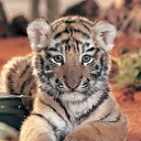 ���� ����, �������������� - ��������� 24 ������ 2012 � ������ �������