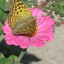 ���� V�������, ��������� - ��������� 21 ������ 2011 � ������ ���������.�