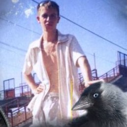 �������, �����������, 38 ���