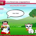  , , 48  -  18  2010   PetLove