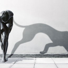 ���� ����, ������ - ��������� 21 ������� 2011