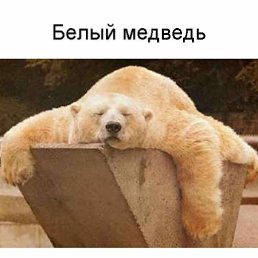 ���� ����, �������� - ��������� 29 ���� 2012