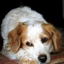 ���� ����, �����-���������, 48 ��� - ��������� 26 ����� 2010 � ������ �������