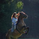 ���� "@����", �����-���������, 25 ��� - ��������� 26 ��� 2010 � ������ �������