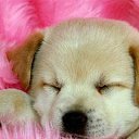 ���� �������, ������ - ��������� 15 ������ 2012 � ������ ��������