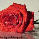 ���� ���, �������, 33 ���� - ��������� 11 ������� 2010