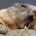 ���� Serega, ��������� - ��������� 22 ��� 2013 � ������ ���� ����������