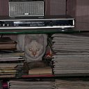 ���� Lenne, ������, 35 ��� - ��������� 14 ����� 2010 � ������ ������ =)�