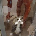 ��� ����� � �������...� ����)))