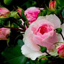 ���� ������*, ���������, 24 ���� - ��������� 4 ������ 2012 � ������ ������������ ���� ������� �����=)�