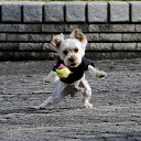 ���� Limon, ���������, 39 ��� - ��������� 17 ������� 2009 � ������ ���� �������� ��������...�