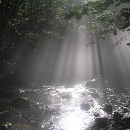 ���� Alex, �����������, 39 ��� - ��������� 1 ������� 2009