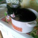 ���� ������, ���������, 58 ��� - ��������� 20 ������� 2012 � ������ �������