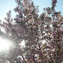 ���� �����, ������, 50 ��� - ��������� 2 ������� 2010 � ������ ������