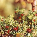  ,  -  23  2012    ߻