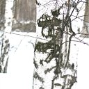 ���� �������, ������������ - ��������� 12 ������� 2011 � ������ ���������� ����