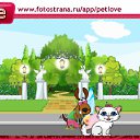  , , 37  -  16  2010   PetLove