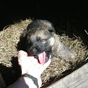 ���� �, �����-���������, 50 ��� - ��������� 9 �������� 2010 � ������ �������