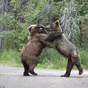 ���� Neznakomez, ������, 64 ���� - ��������� 27 ������� 2012