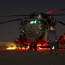 ���� ����, �������� - ��������� 8 �������� 2012 � ������ �������