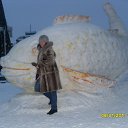 ���� ���, �������, 43 ���� - ��������� 14 ������ 2011 � ������ �� ����� ��