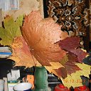 ����� ����� �� ������� �2012 - 2013�