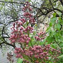 ���� ���� ����, ����������, 50 ��� - ��������� 19 ����� 2010 � ������ ������-2009�