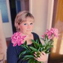 ���� �����, ������, 51 ��� - ��������� 9 ���� 2013 � ������ ���� ����������