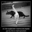 ���� ***����***, �������� - ��������� 16 ������� 2013 � ������ ���� ������.�