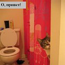 ���� ������, �������, 40 ��� - ��������� 13 ������� 2009 � ������ ����������� ��������, ������� ����������