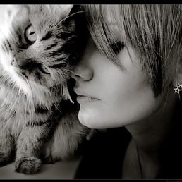 �����, ���������, 44 ����