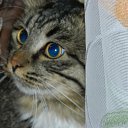 ���� �������, ������-������, 51 ��� - ��������� 1 ������ 2012