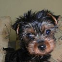 ���� Alik, ������������, 62 ���� - ��������� 9 ����� 2012 � ������ ���� ����������