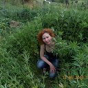 ���� �������, �����, 42 ���� - ��������� 14 ��� 2013 � ������ ���� ����������