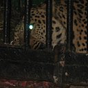 ���� �������, �������, 38 ��� - ��������� 28 ������ 2010 � ������ ������� �����!!!�