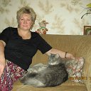 ���� �����, �����-���������, 68 ��� - ��������� 10 ������� 2011 � ������ �߻