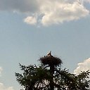  , -, 57  -  18  2012    