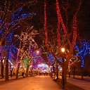 ���� �����, ������ - ��������� 9 ������ 2010 � ������ �������-��� ����� ������!�