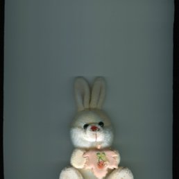 ���� �������, �������, 50 ��� - ��������� 19 ���� 2012