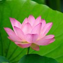 ���� ����, ������������ - ��������� 8 ���� 2010 � ������ �����ۻ