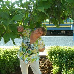 ���������, ������ ��������, 58 ���