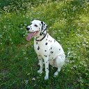 ���� Irixa, ���������, 57 ��� - ��������� 30 �������� 2009 � ������ �������